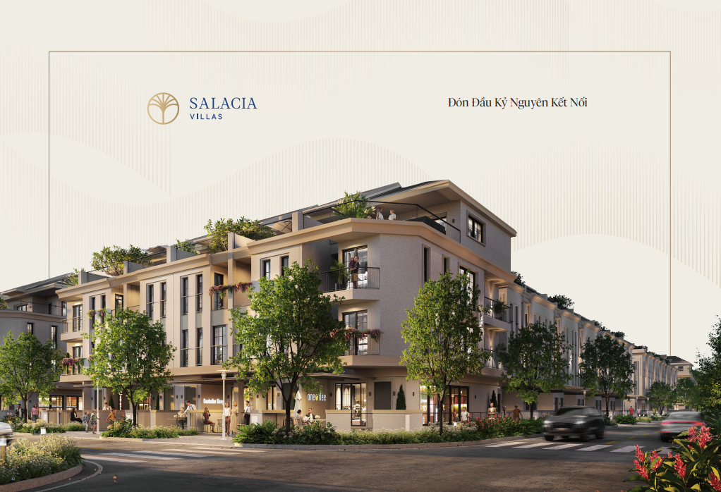 Salacia Phu My Vina capital